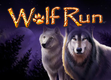 Wolf Run Slot review